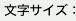 文字サイズ：