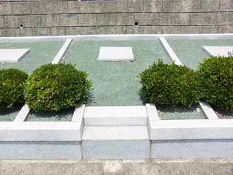 6m²