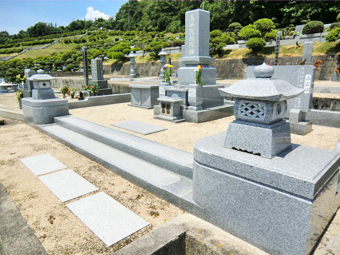 自由地区
