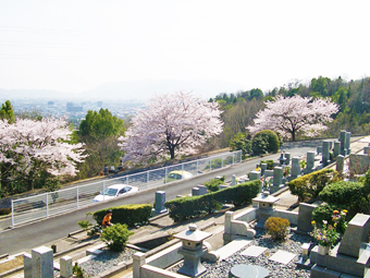 自由地区