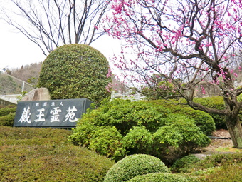 分苑